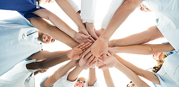 Sewa Mobil dan Supir Harian Terpercaya